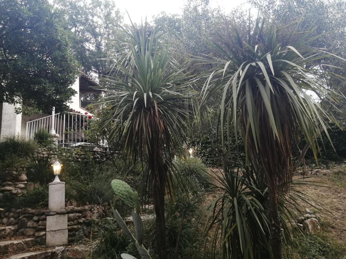 Hotel La Mhirabelle Saint-Paul-de-Vence Exteriér fotografie